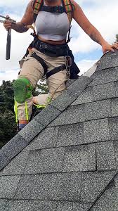 SEO for roofers
